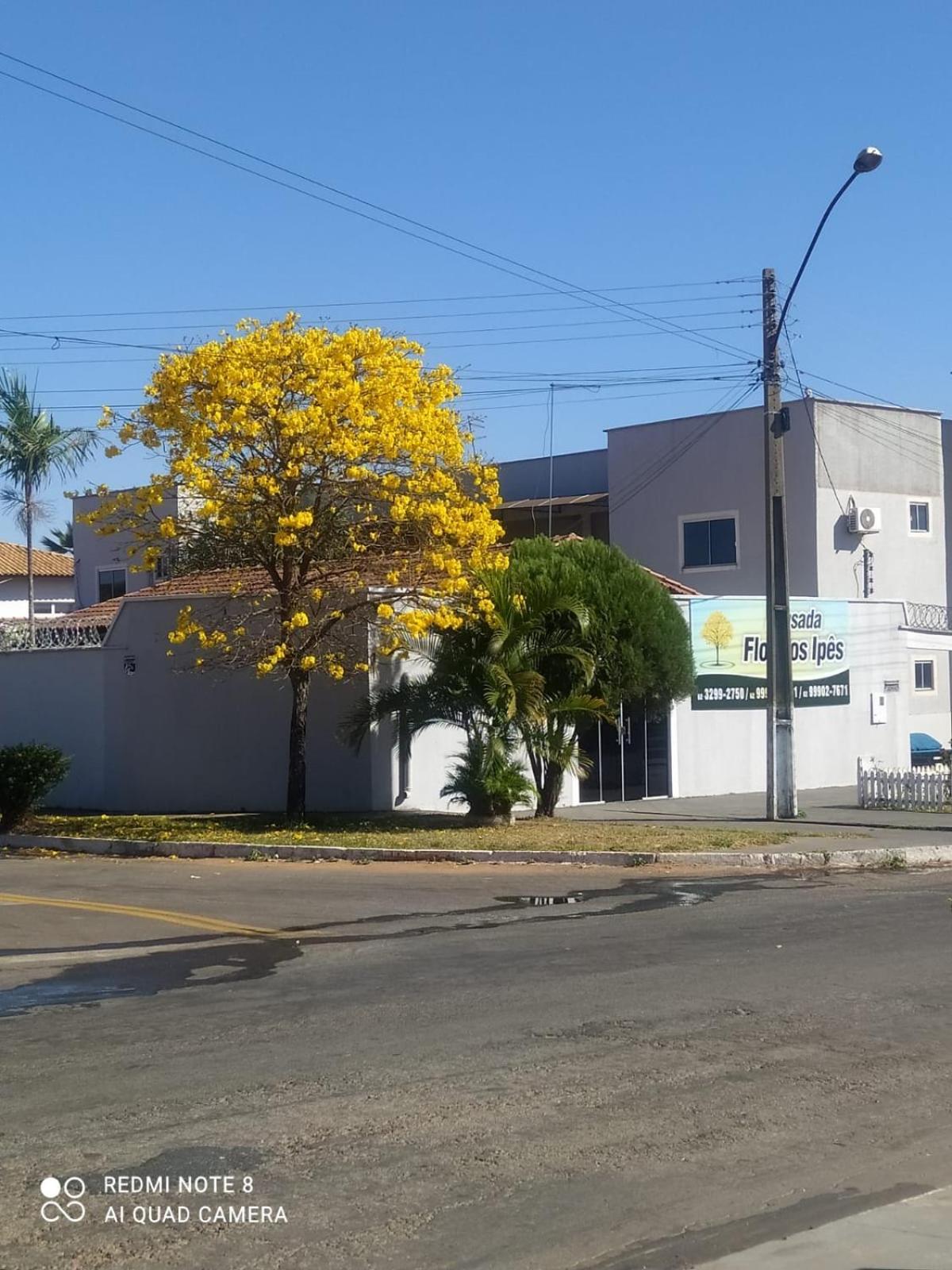 Pousada Flor Dos Ipes Trindade  Zewnętrze zdjęcie